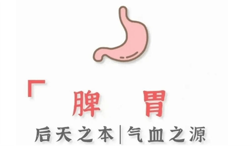 為什么春季脾胃容易虛弱